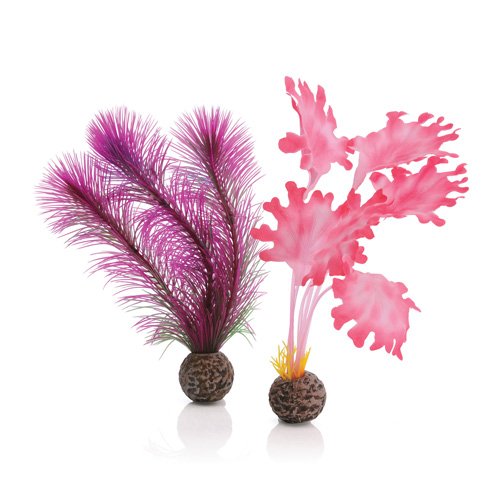 biOrb Plants & Decor Kelp set S pink