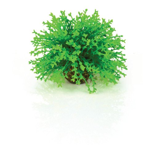 biOrb Plants & Decor Flower ball green (46087)