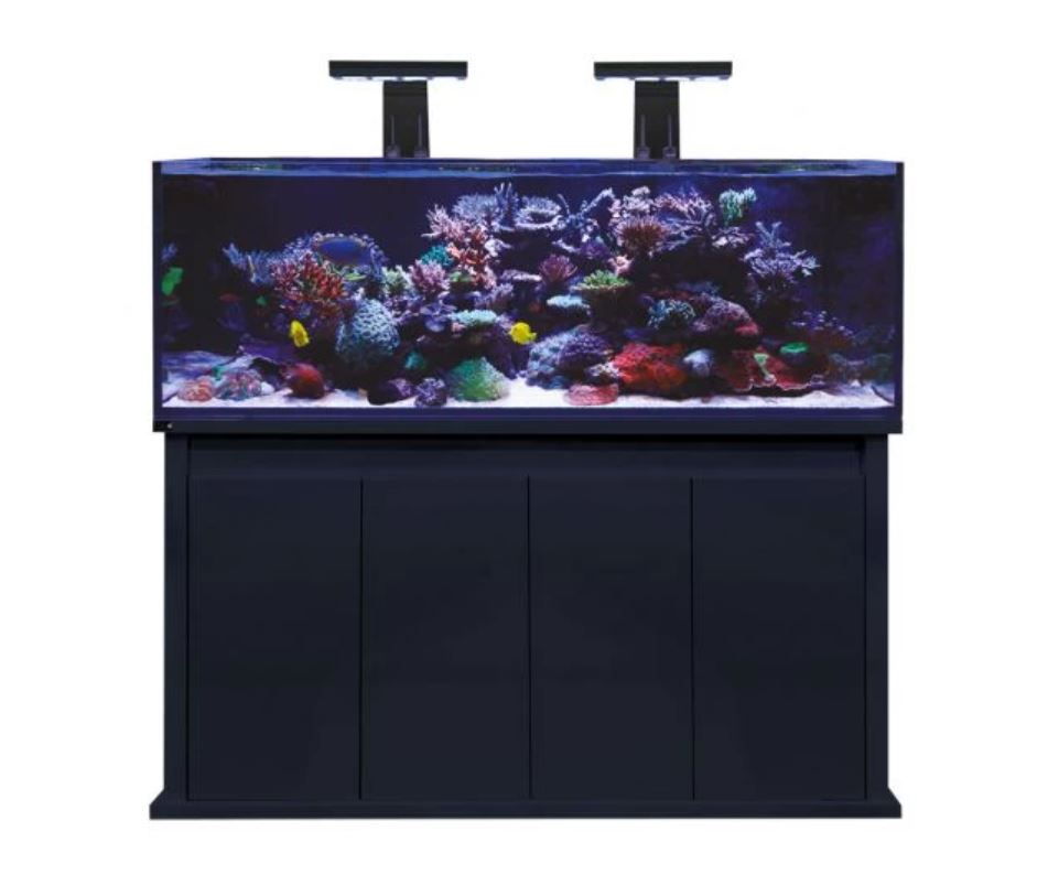 Reef Pro Gloss Black