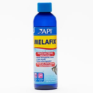 API Melafix Aquarium Antibacterial Fish Treatment