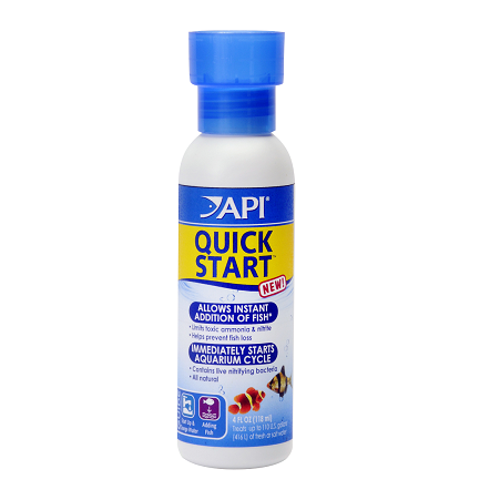 API Quick Start