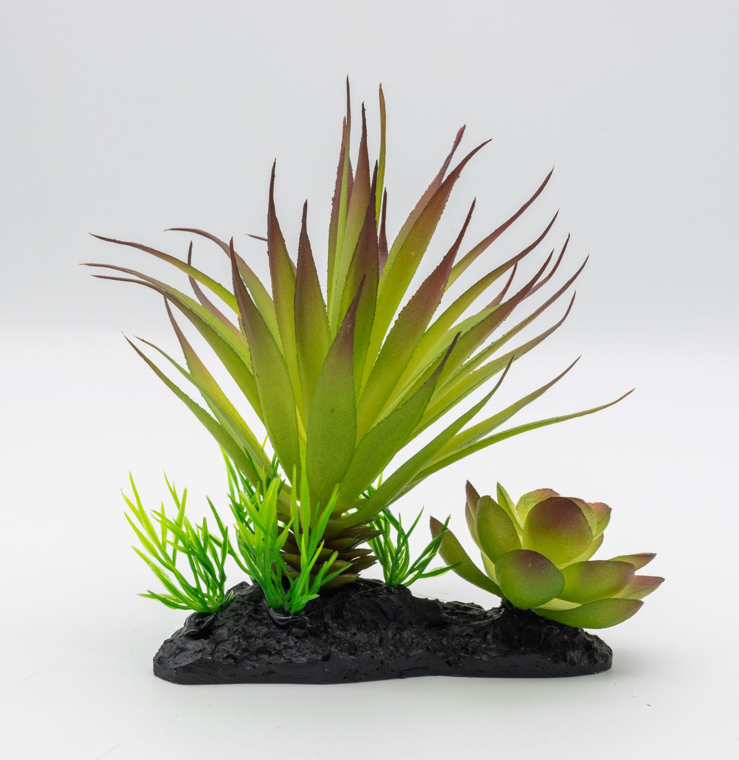 Agave Plant on Log - 15cm