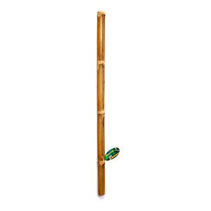 Bamboo Stick Ï - 5cm x1m