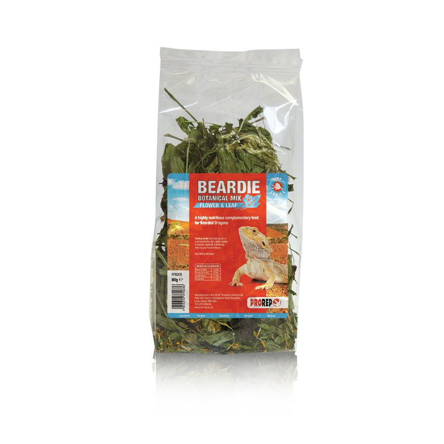 Bearded Dragon Botanical Mix 80g