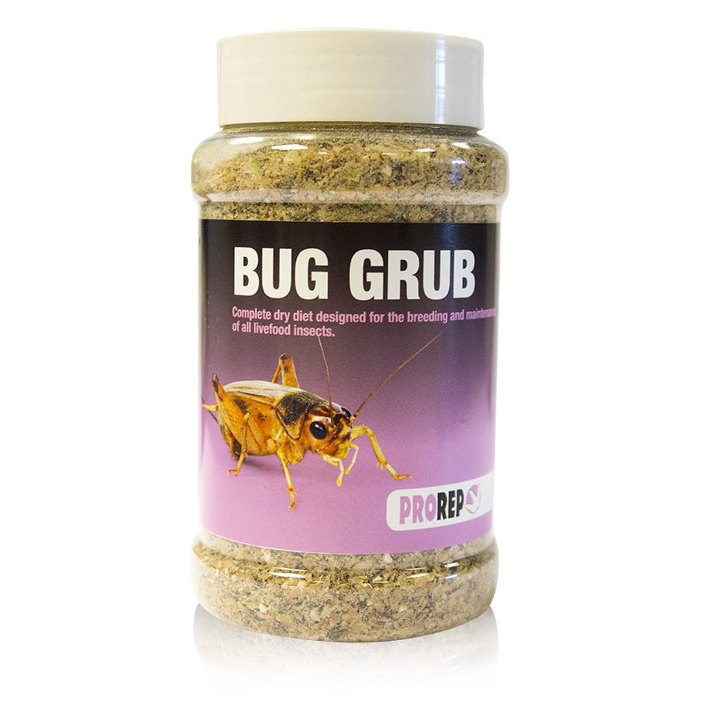 Bug Grub Jar Pack, 300g