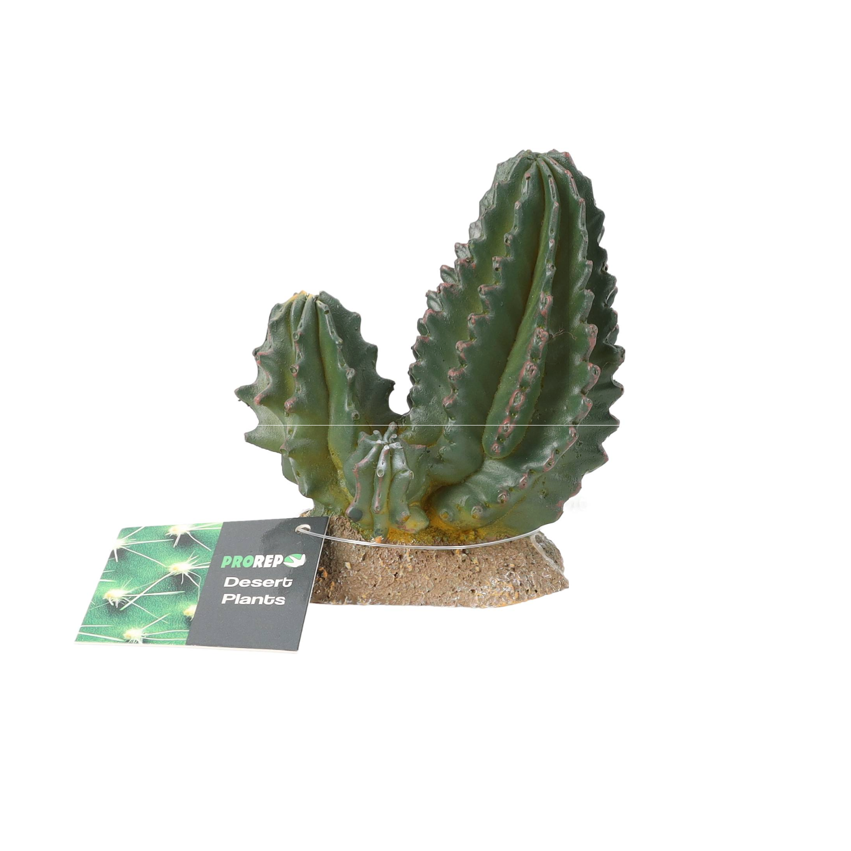 ProRep Cactus Group 9×5.5x10cm