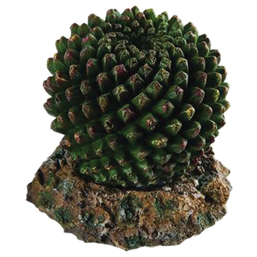 Cactus with Rock Base