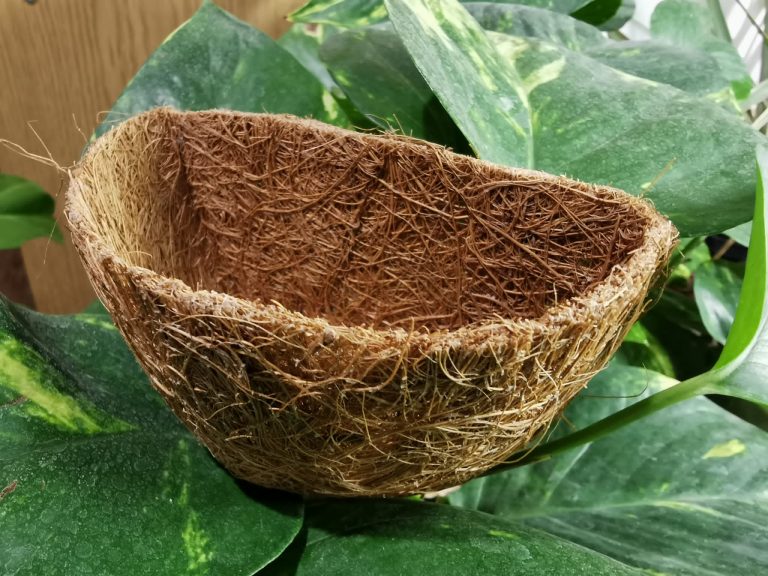 Coco Fibre Wall Mounted Curve Pot 5pk