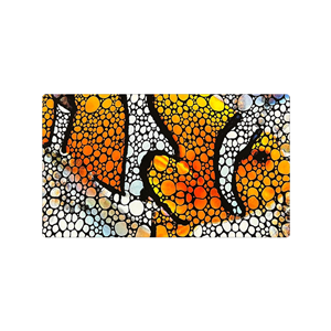 Flipper Clownfish Mat 45x75cm