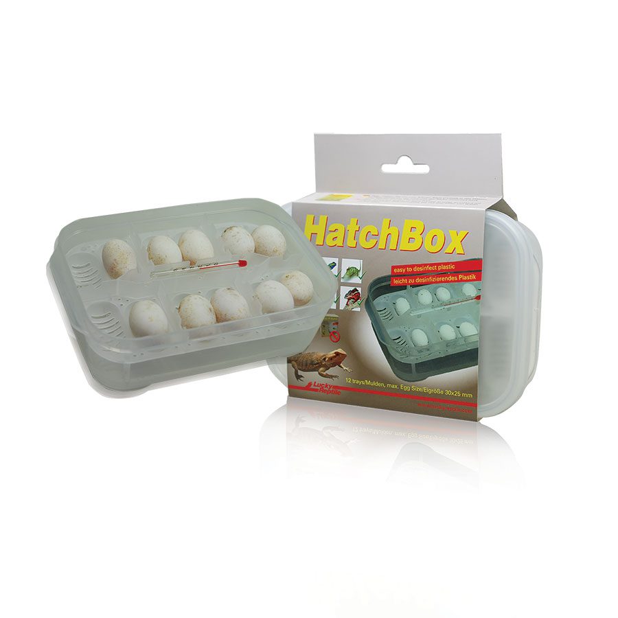 Hatchbox Incubation Tray