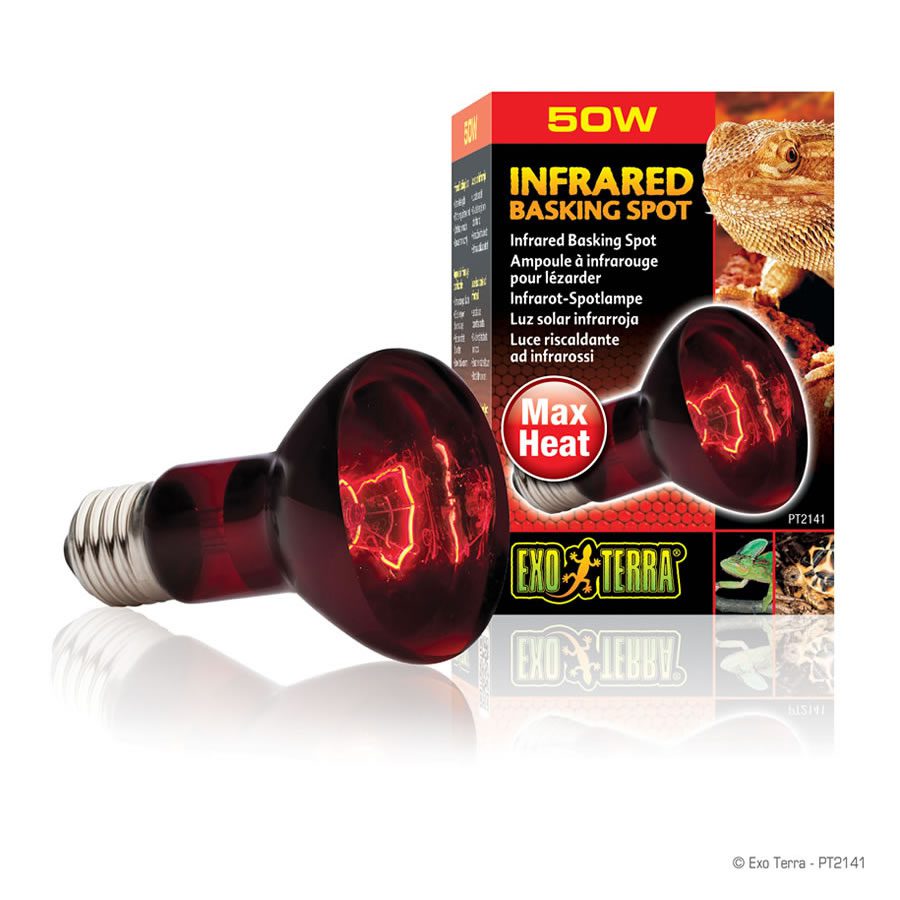 Infrared Basking Spot 50W