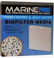 Marine Pure Plate 20x20x2.5