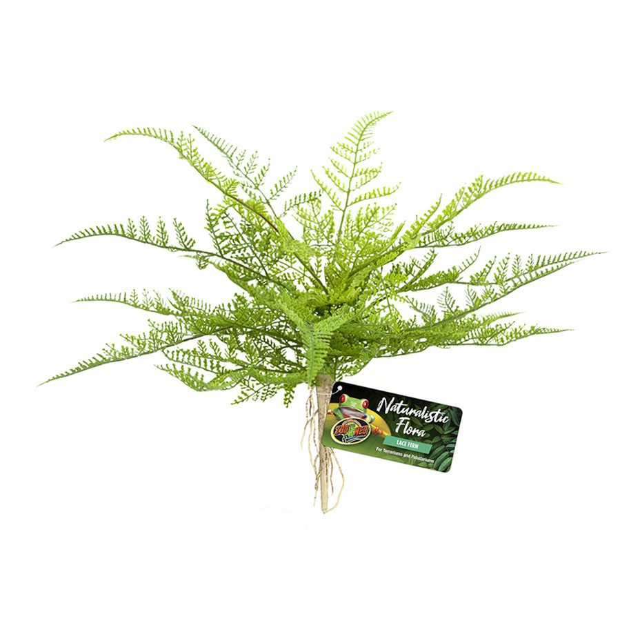 Naturalistic Flora Lace Fern