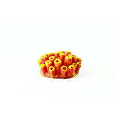 Natureform Coral Mini Tube Sponge Yellow/Red Theonella sp. 10.2x9x4.5cm