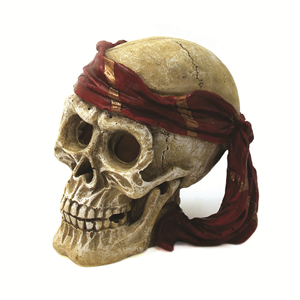 Hugo Bandana Skull 11X10x11cm