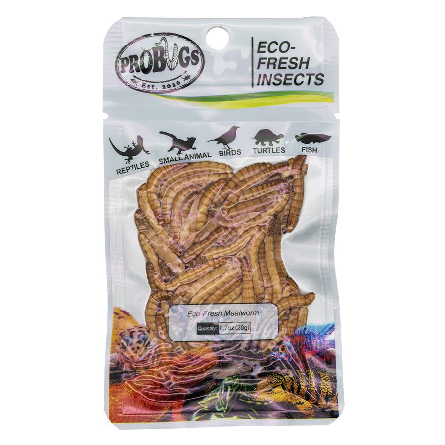 ProBugs 15 Pack Eco Fresh Mealworm, 20g