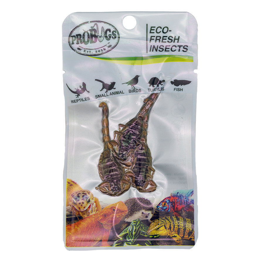 ProBugs 15-pack Eco Fresh Scorpion, 3pcs