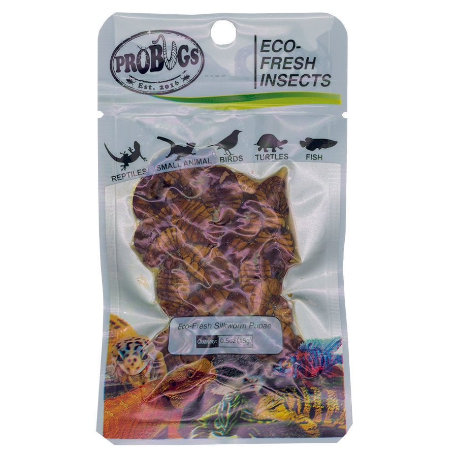 ProBugs 15-pack Eco Fresh Silkworm pupae, 15g