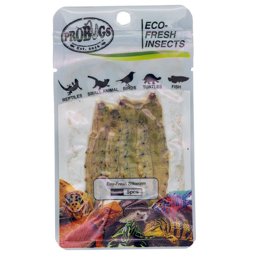 ProBugs 15-pack Eco Fresh Silkworm