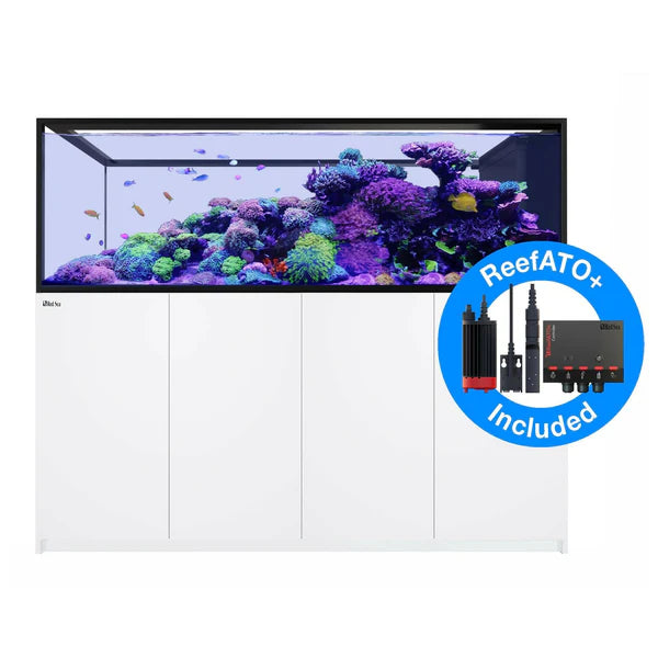 Red Sea REEFER MAX Peninsula S-950 G3