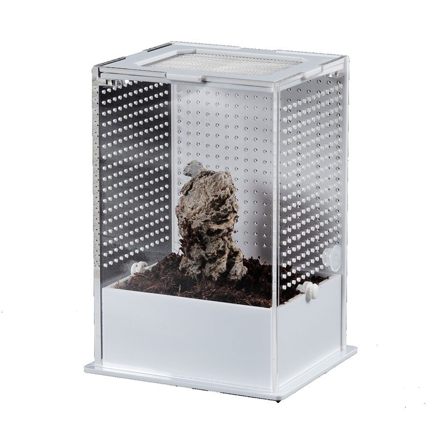 ReptiZoo White Base Insect Acrylic Box