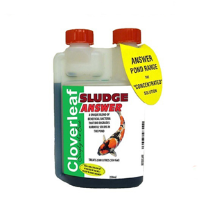 Cloverleaf Sludge Answer