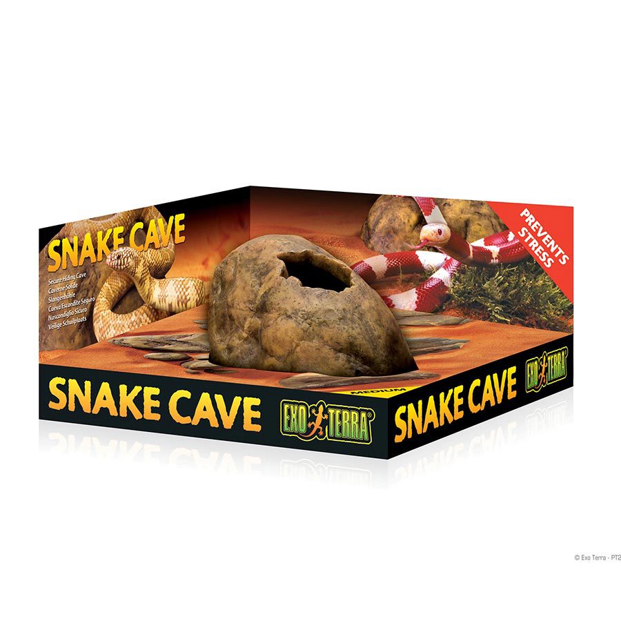 Snake Cave - Medium