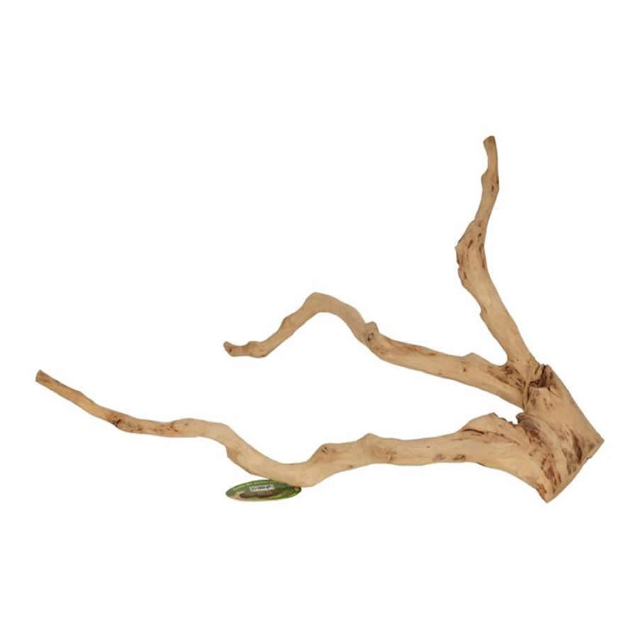 Tea Tree Branch - Large