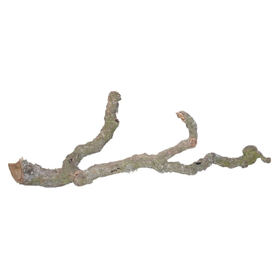 Tronchos Branches 90-120cm