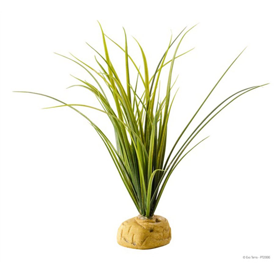 Exo-Terra Turtle Grass