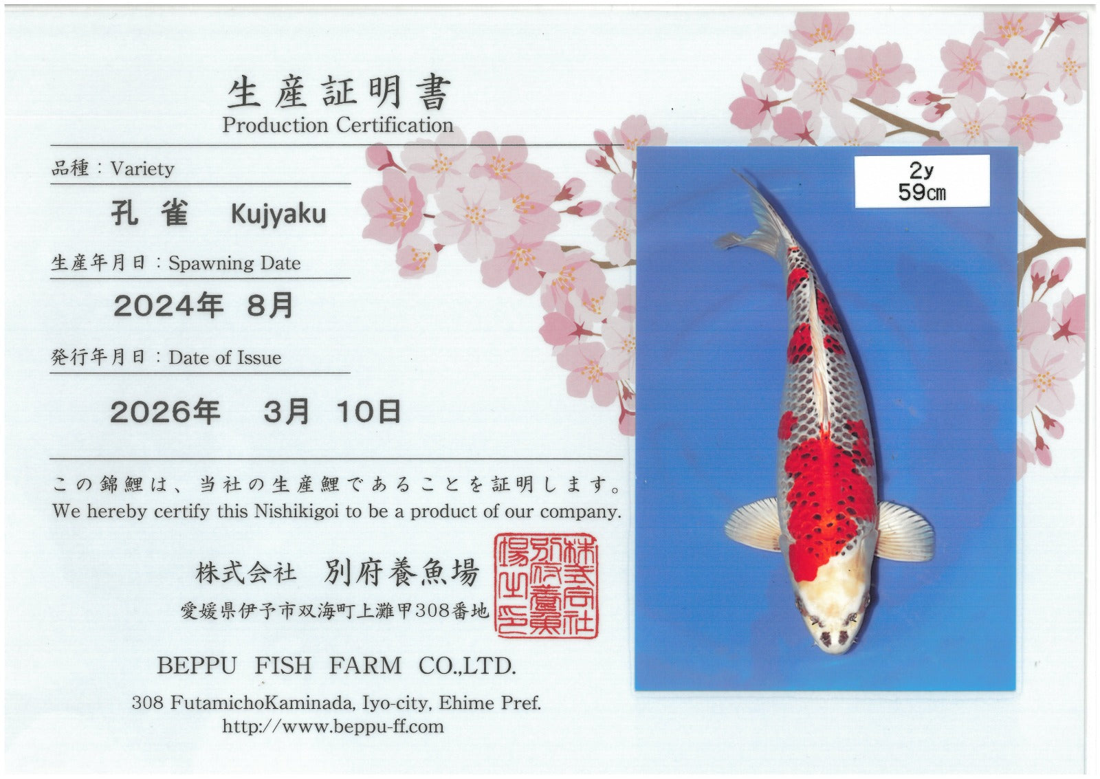 Kujaku - Beppu - Nisai - #01