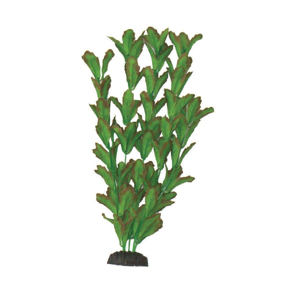 Hugo Kamishi - Rotundifolia Silk Aquascaping Aquarium Plants - Aqua Group