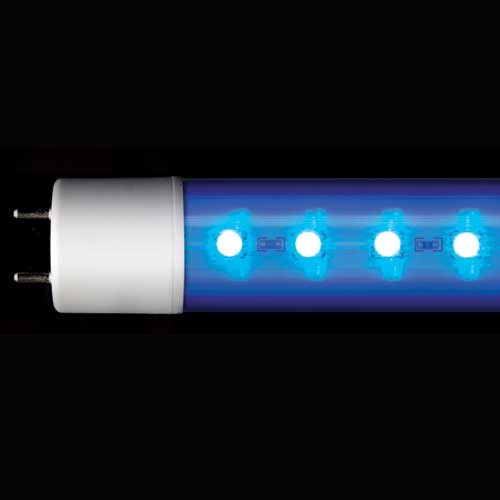 Arcadia T8 Marine Blue LED Lamp 17W (36W fluorescent equivalent) 1200mm