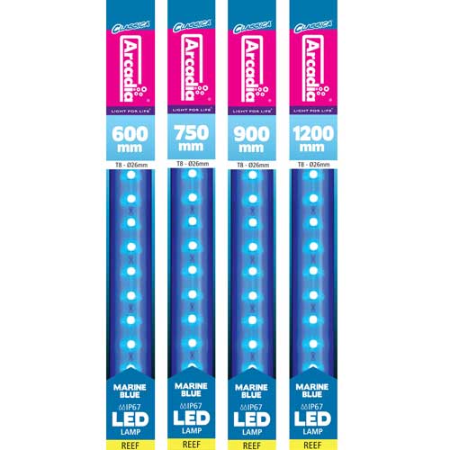 Arcadia T8 Marine Blue LED Lamp 17W (36W fluorescent equivalent) 1200mm