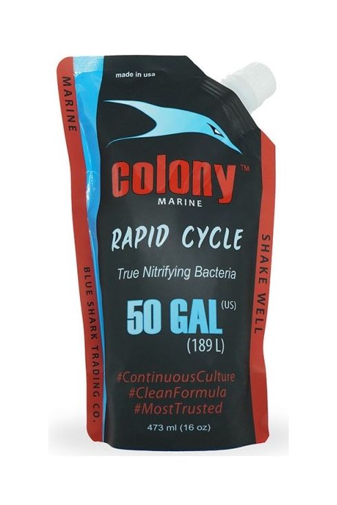 Colony Marine Nitrifying Bacteria