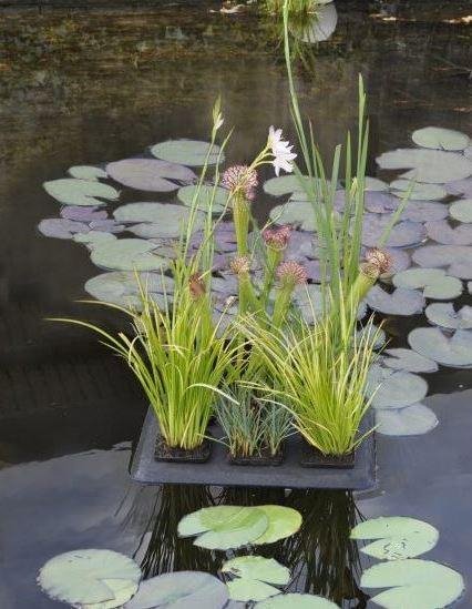 Velda Floating Plant Oasis 30 x 40cm