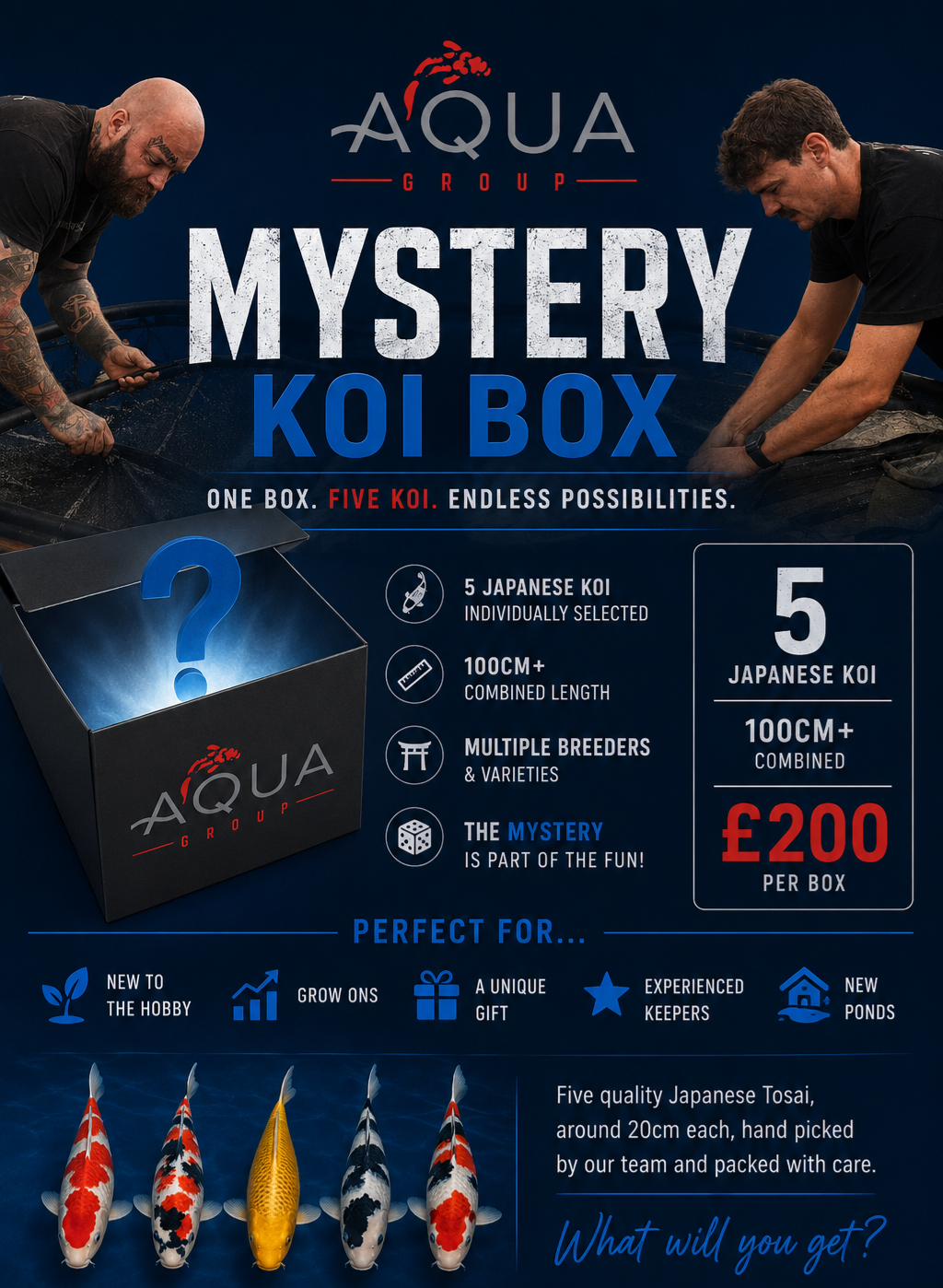 Mystery Koi Box - Tosai