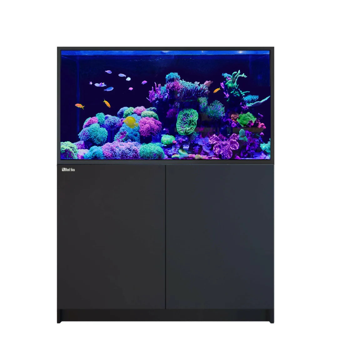 Red Sea REEFER S-550 G3 Deluxe