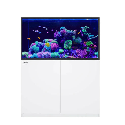 Red Sea REEFER S-550 G3 Deluxe