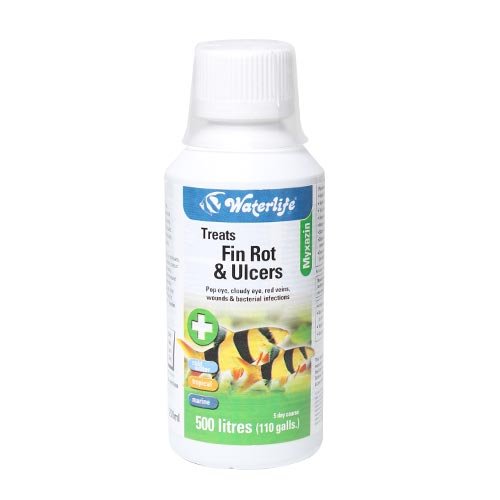 Waterlife Myxazin 250ml - Tropical, Marine & Freshwater Fish - Aqua Group