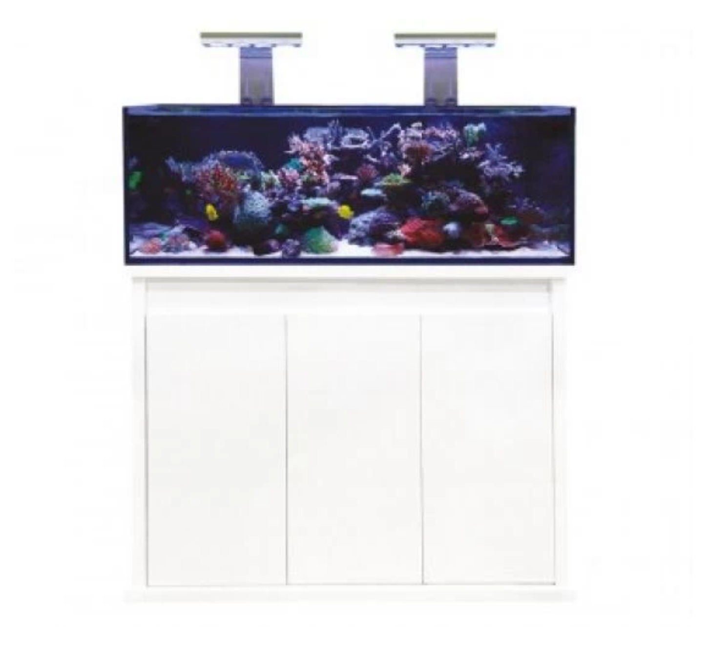 D-D Reef Pro - Gloss White