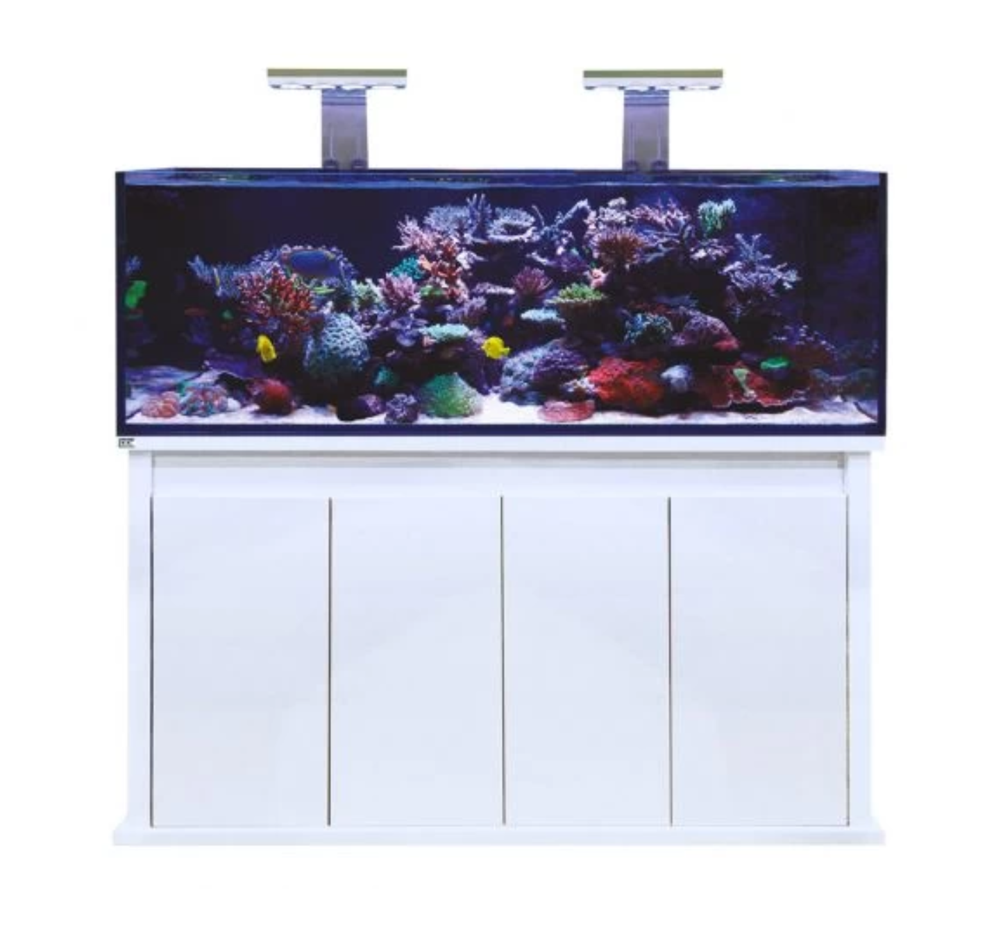 D-D Reef Pro - Gloss White