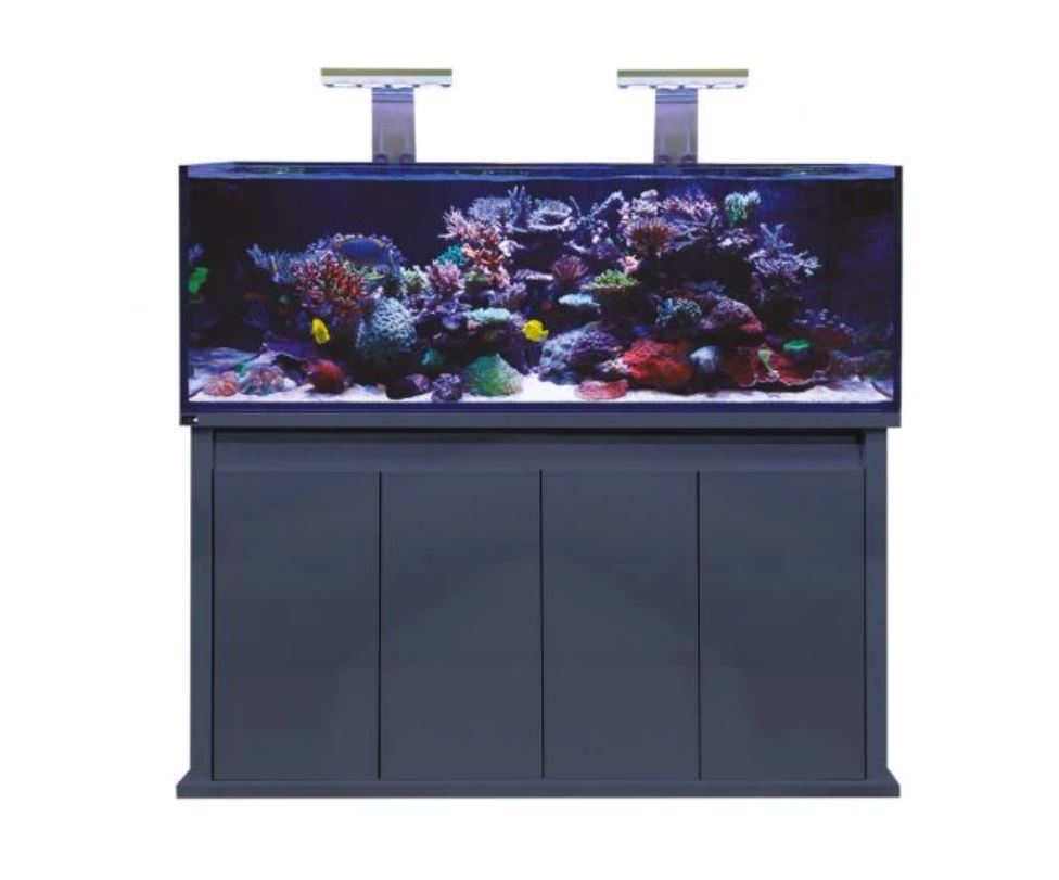 D-D Reef-Pro - Gloss Anthracite