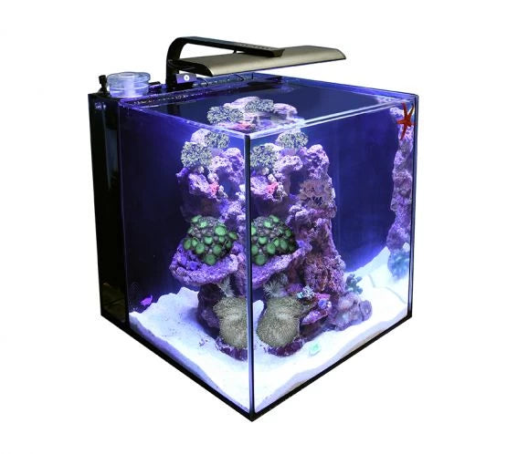 TMC Next Wave 60 Aquarium